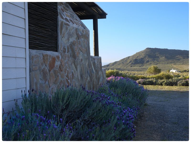 Exterior view of a farm building featuring stone cladding and timber siding, set against a scenic mountain landscape.