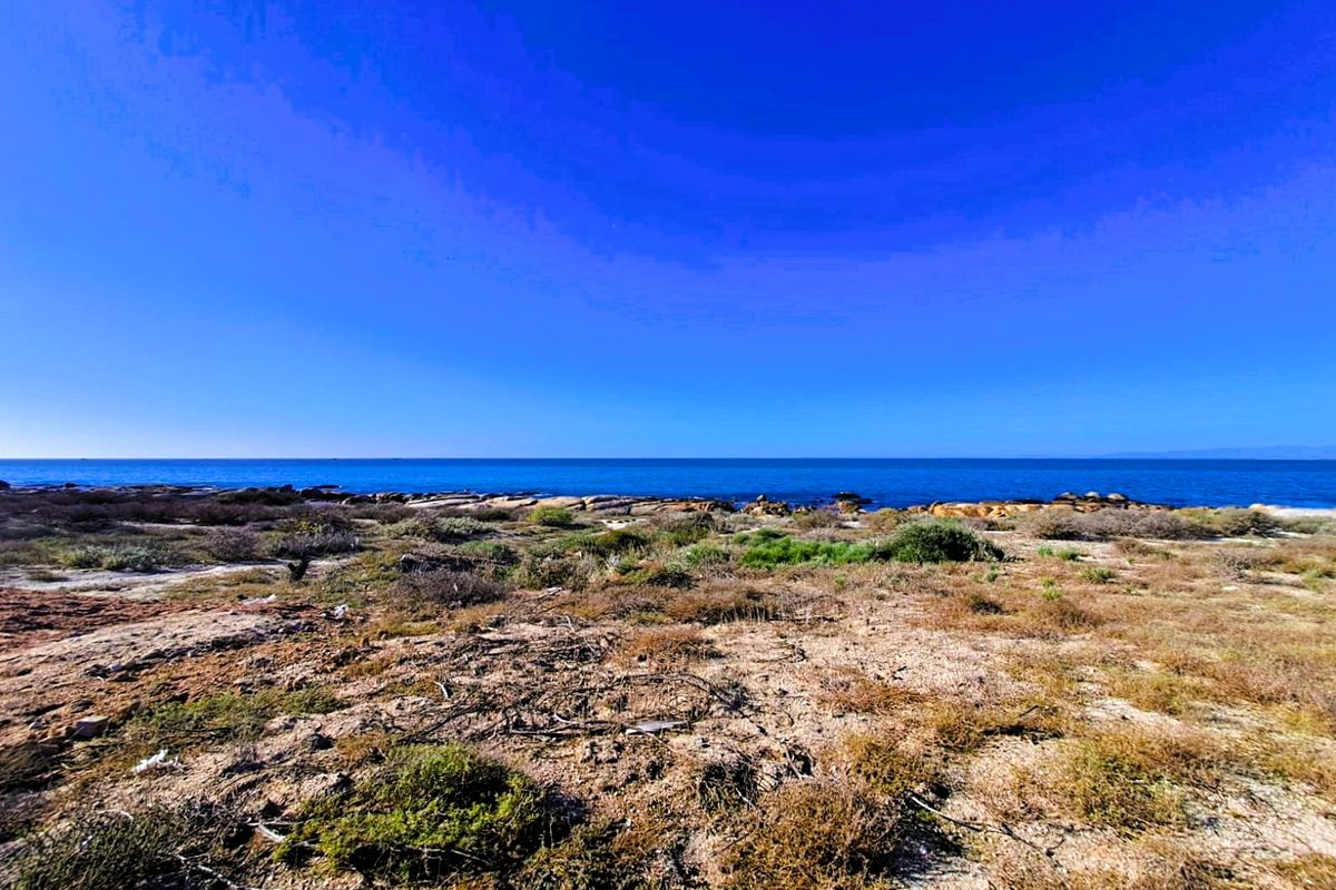 North-East Facing Coastal Gem – Steps from the Beach - Photo 3
