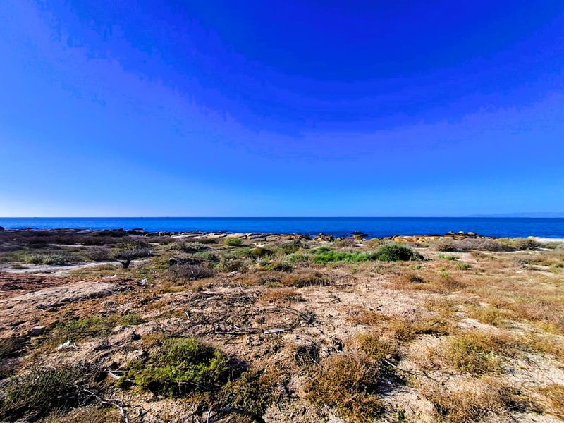North-East Facing Coastal Gem – Steps from the Beach - Photo 3