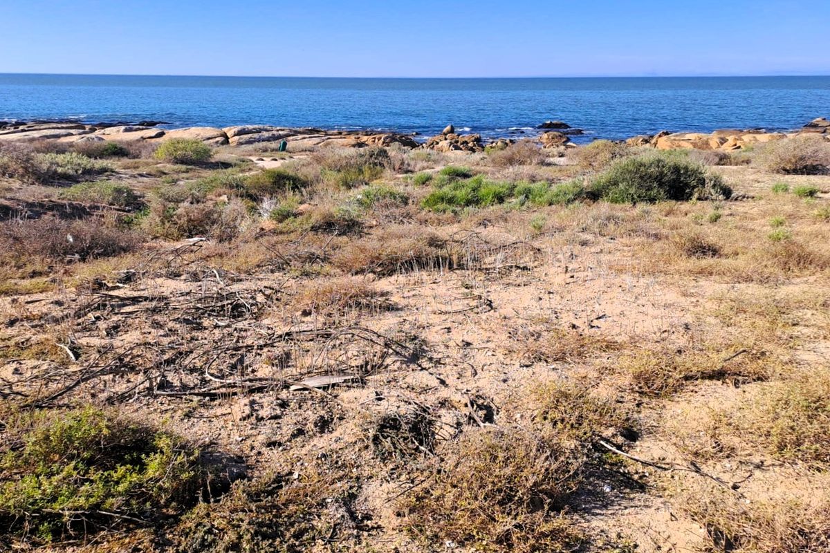 North-East Facing Coastal Gem – Steps from the Beach - Photo 2