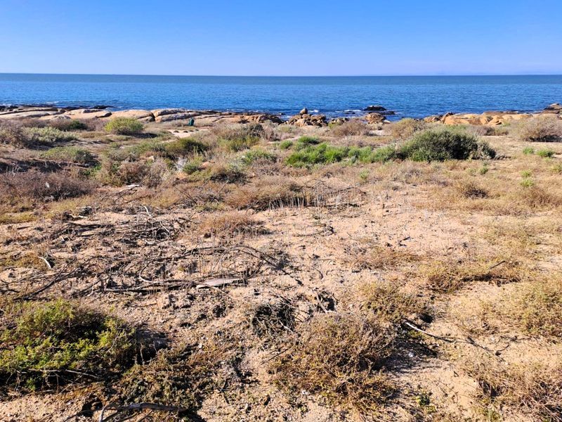 North-East Facing Coastal Gem – Steps from the Beach - Photo 2
