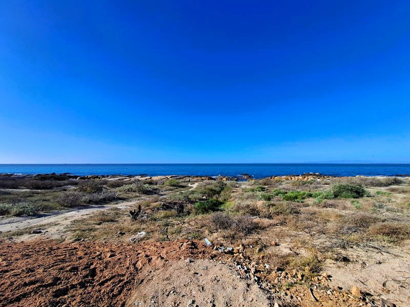 North-East Facing Coastal Gem – Steps from the Beach - Photo 10