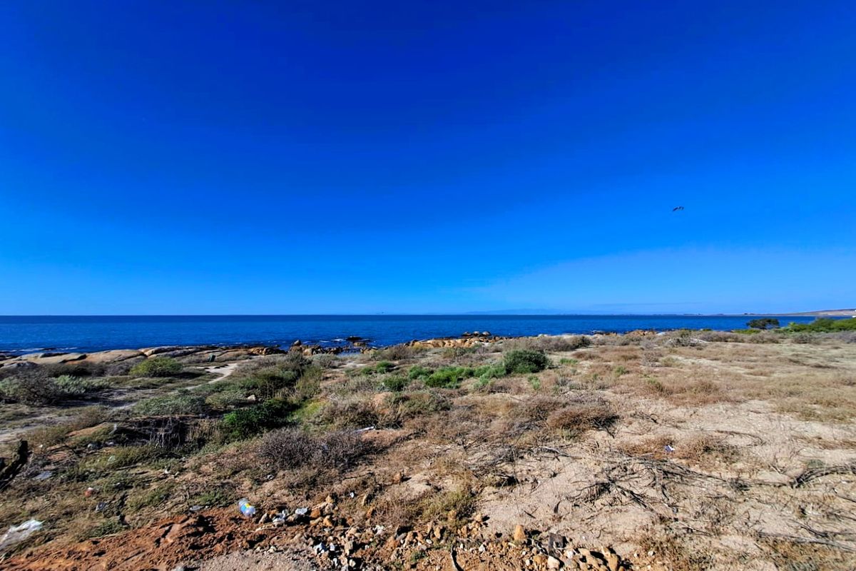 North-East Facing Coastal Gem – Steps from the Beach - Photo 5