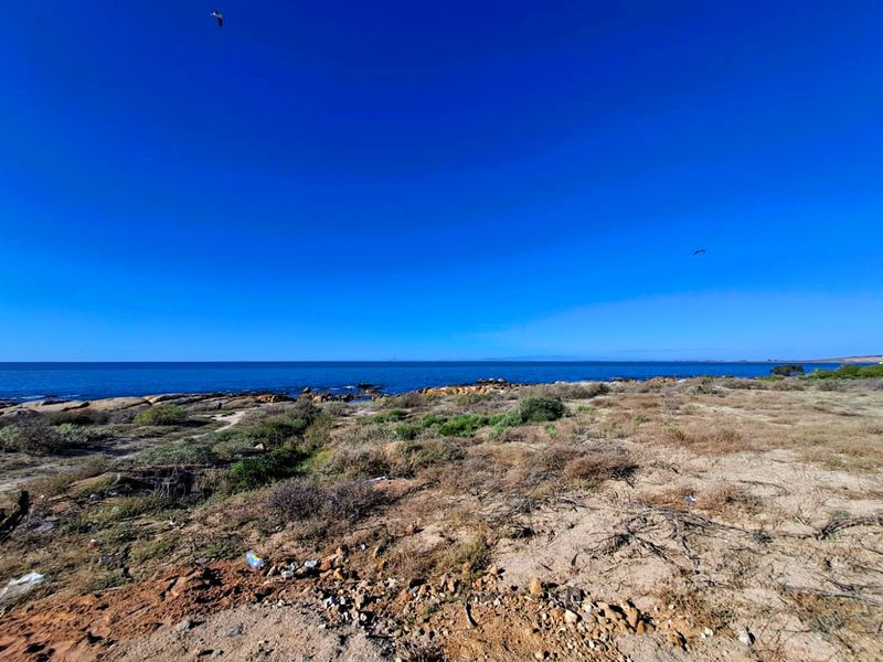 North-East Facing Coastal Gem – Steps from the Beach - Photo 5