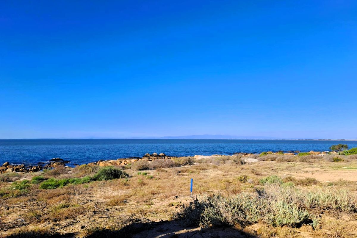 North-East Facing Coastal Gem – Steps from the Beach - Photo 4