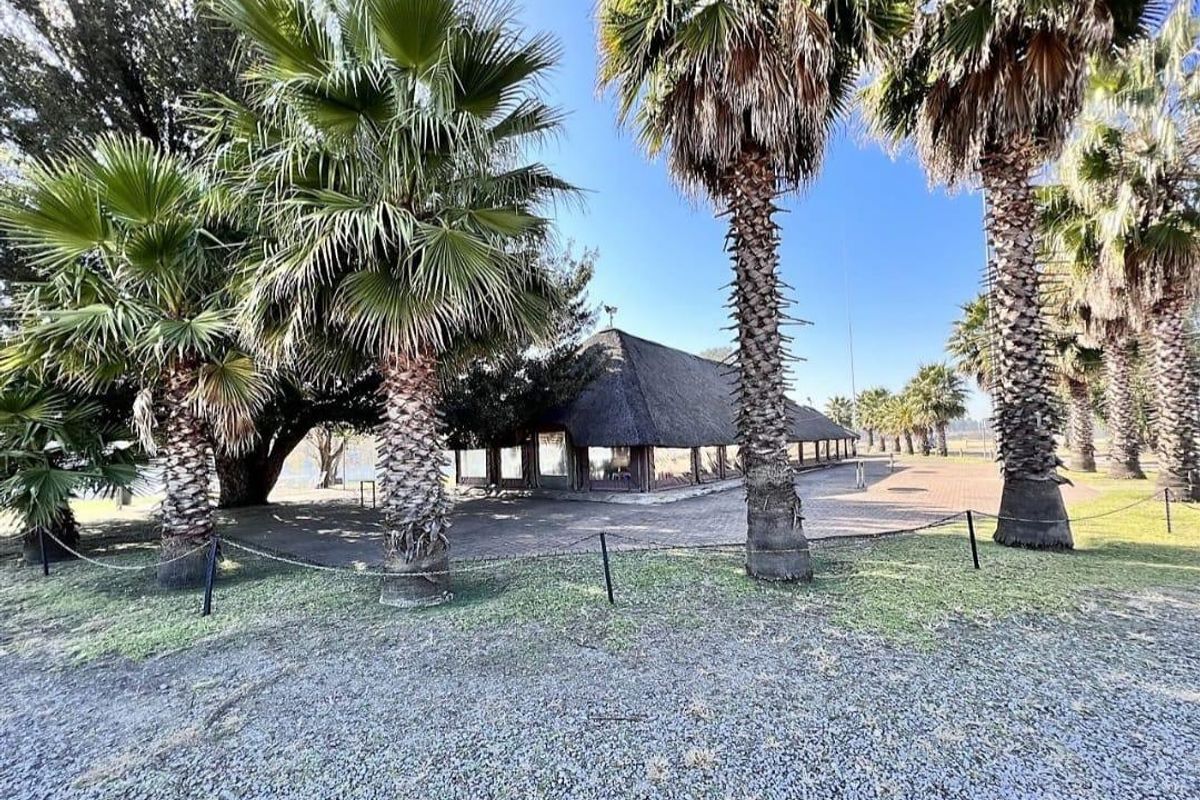 Exterior view of a property featuring a large thatched roof structure, paved patio area, and mature palm trees in a landscaped garden setting.