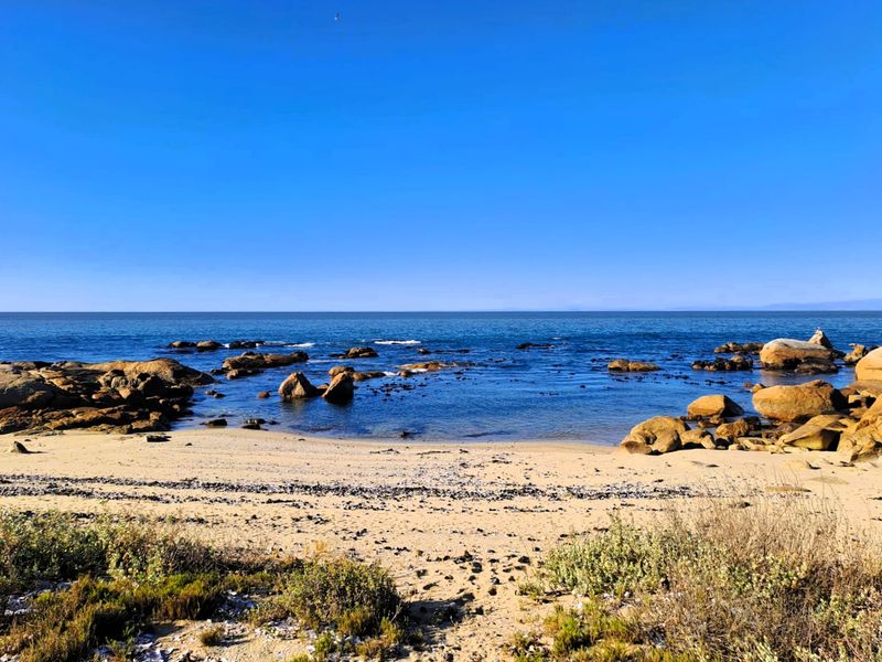 Build Your Dream Home on the Edge of the Ocean - Photo 9