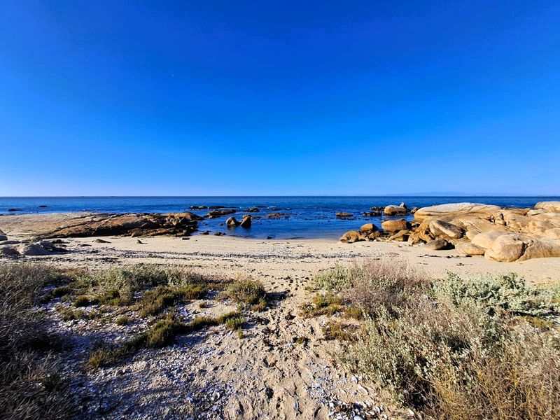 Build Your Dream Home on the Edge of the Ocean - Photo 6