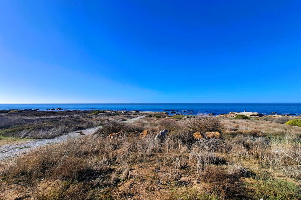 Build Your Dream Home on the Edge of the Ocean - Photo 5