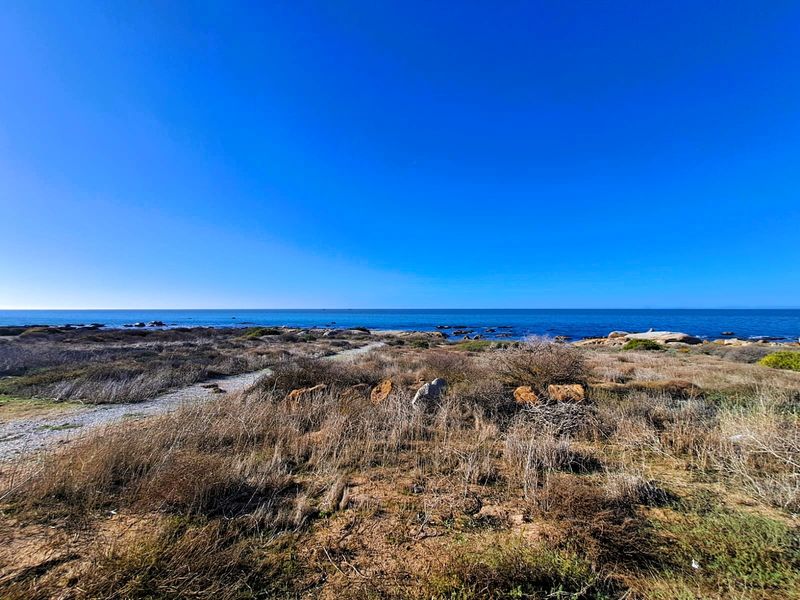 Build Your Dream Home on the Edge of the Ocean - Photo 5