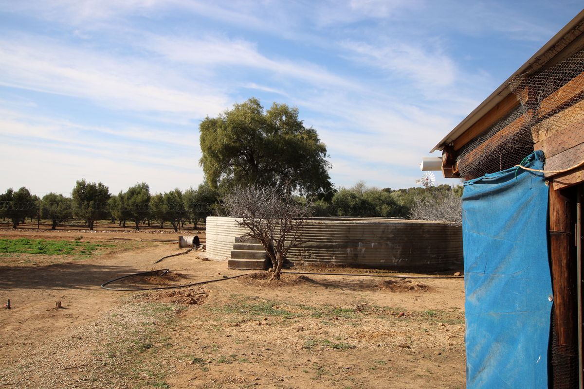 Rear exterior view showing a corrugated water tank with concrete steps, adjacent to a timber structure and open land.
