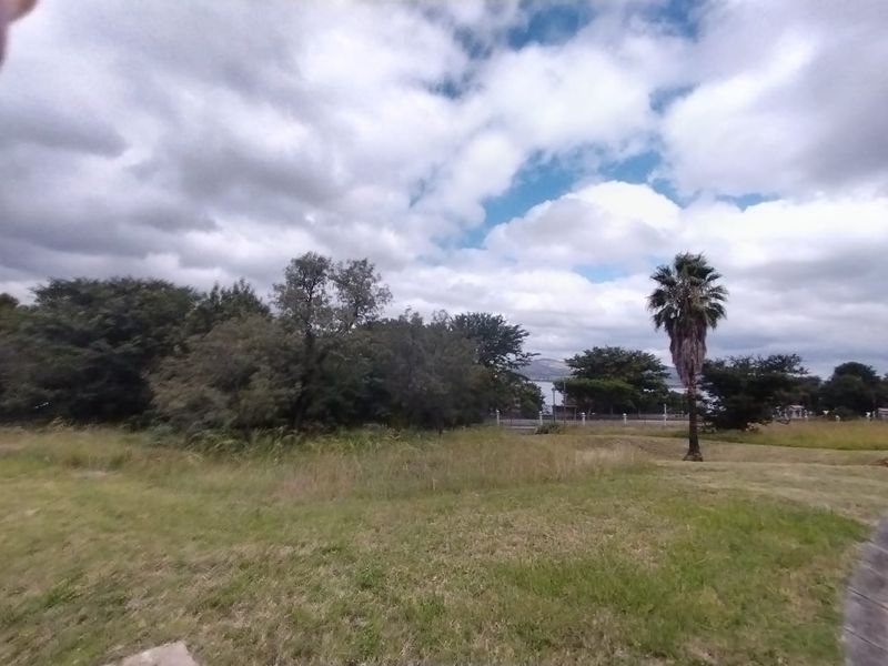 A view of a vacant residential plot featuring established trees and natural grass coverage under a cloudy sky.