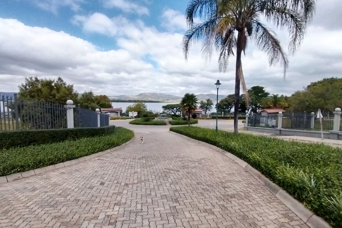 A well-maintained paved driveway leading towards a landscaped entrance with perimeter fencing, mature palm trees, and scenic distant views.
