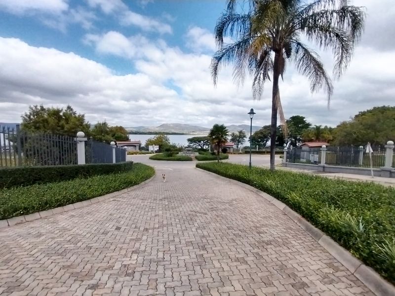 A well-maintained paved driveway leading towards a landscaped entrance with perimeter fencing, mature palm trees, and scenic distant views.