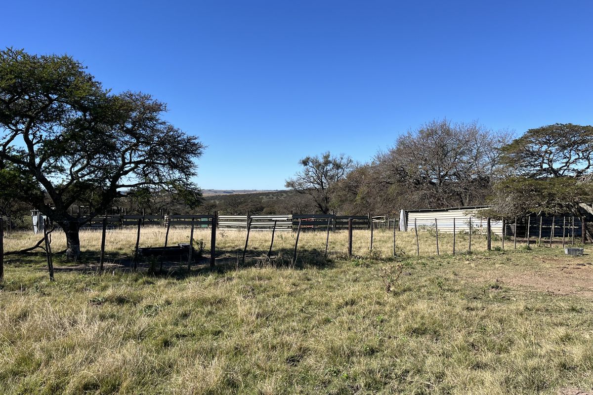 An outdoor farm area featuring wire fencing, livestock enclosures, and a small corrugated metal shed set against a rural landscape.