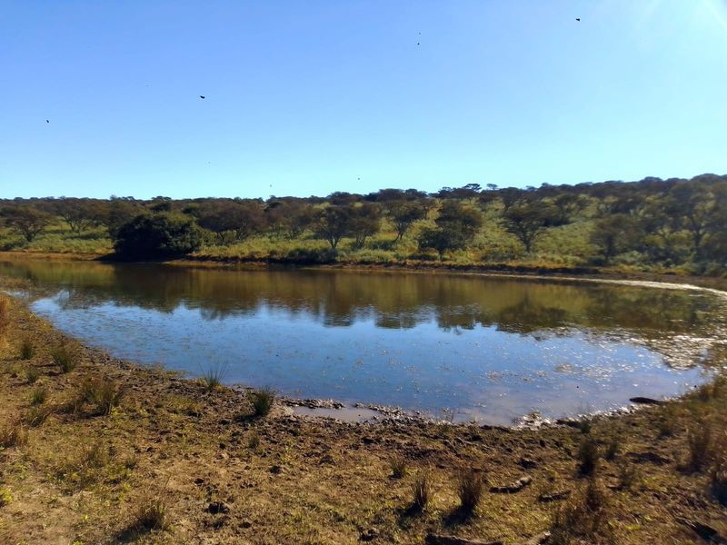 A scenic view of a natural dam on the farm property, surrounded by indigenous trees and open landscape.