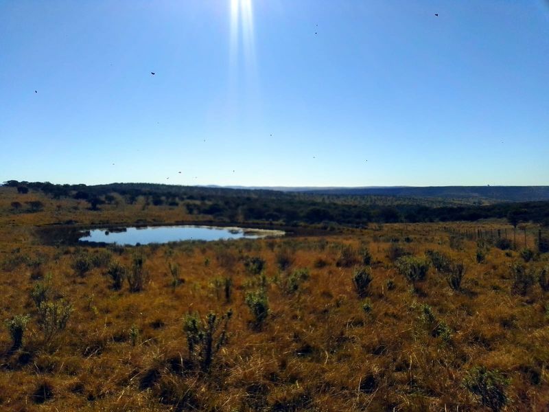 A scenic view of the farm landscape featuring natural vegetation, open fields, and a small pond under a clear blue sky.