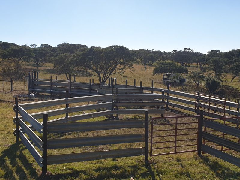 Functional livestock handling pens and cattle crush constructed from durable steel, situated in an open farm landscape.