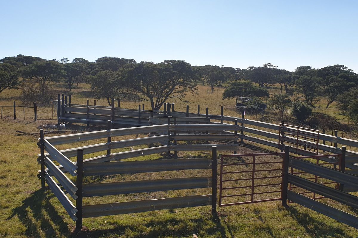 Functional livestock handling pens and cattle crush constructed from durable steel, situated in an open farm landscape.