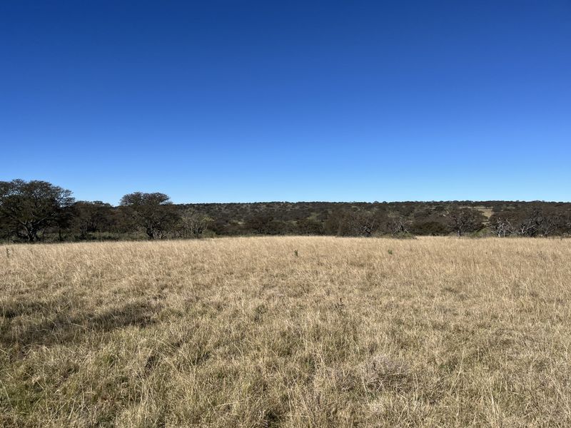 A wide-angle view of the expansive farm landscape featuring open grassland, mature native trees, and clear blue skies.
