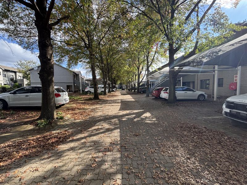 A view of the townhouse complex driveway featuring paved surfaces, mature trees, and covered parking bays for residents.