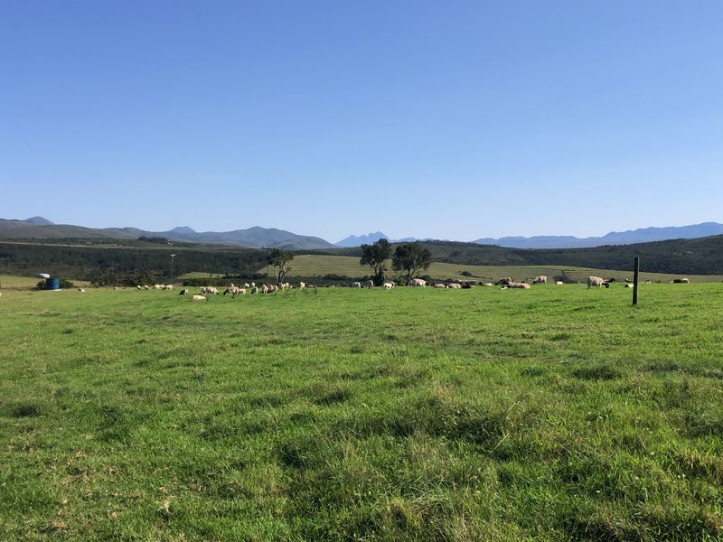 Expansive green pasture and farmland with scenic mountain views in the distance.