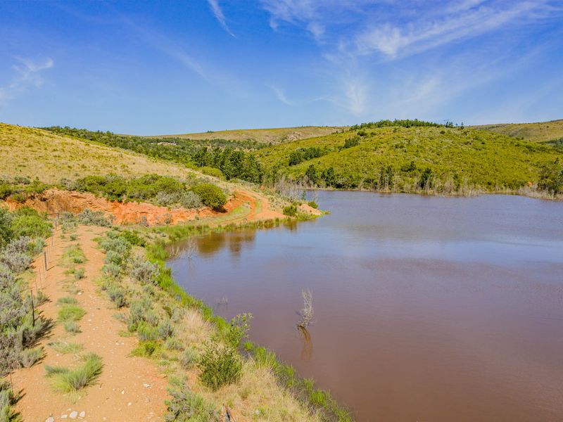A scenic view of a natural dam on the farm, featuring a dirt access track and surrounding rolling hills.