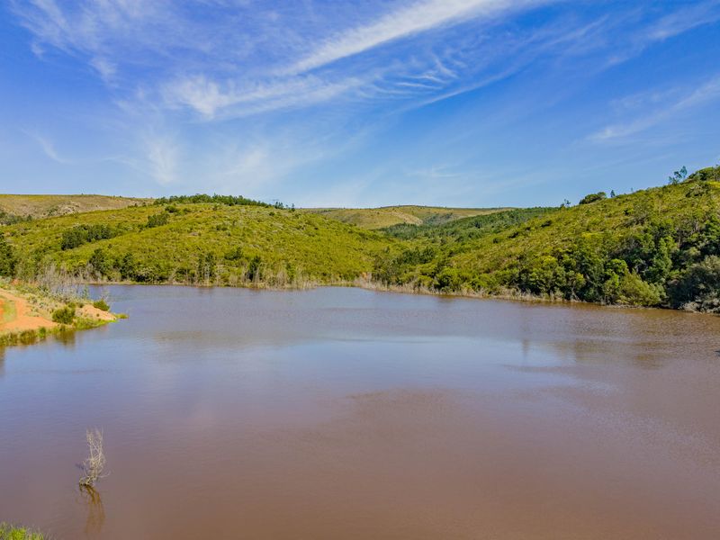A scenic view of a large farm dam surrounded by rolling green hills and natural vegetation under a clear blue sky.