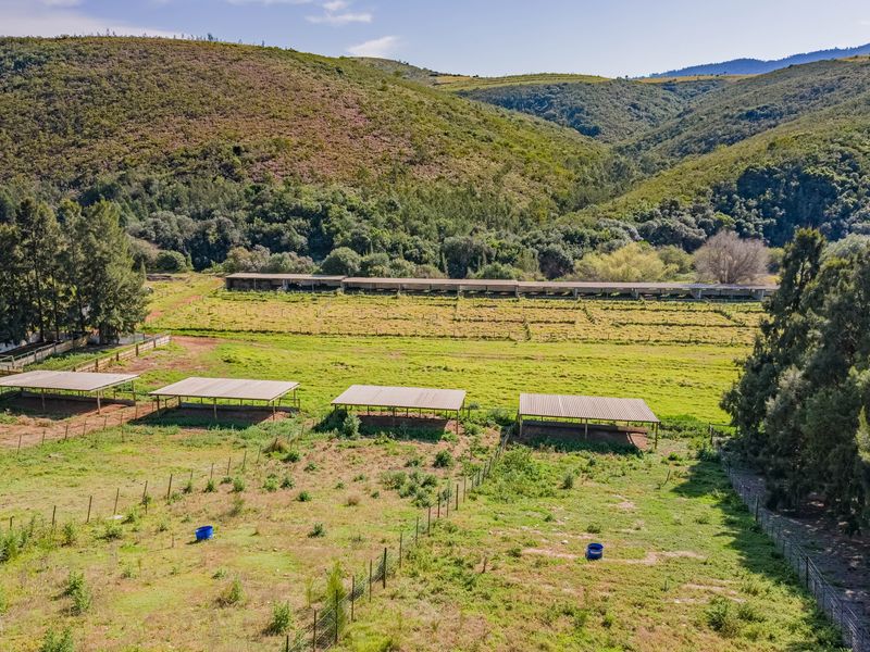 Aerial view of a farm property featuring multiple livestock shelters, fenced paddocks, and a long agricultural shed set against a hilly landscape.