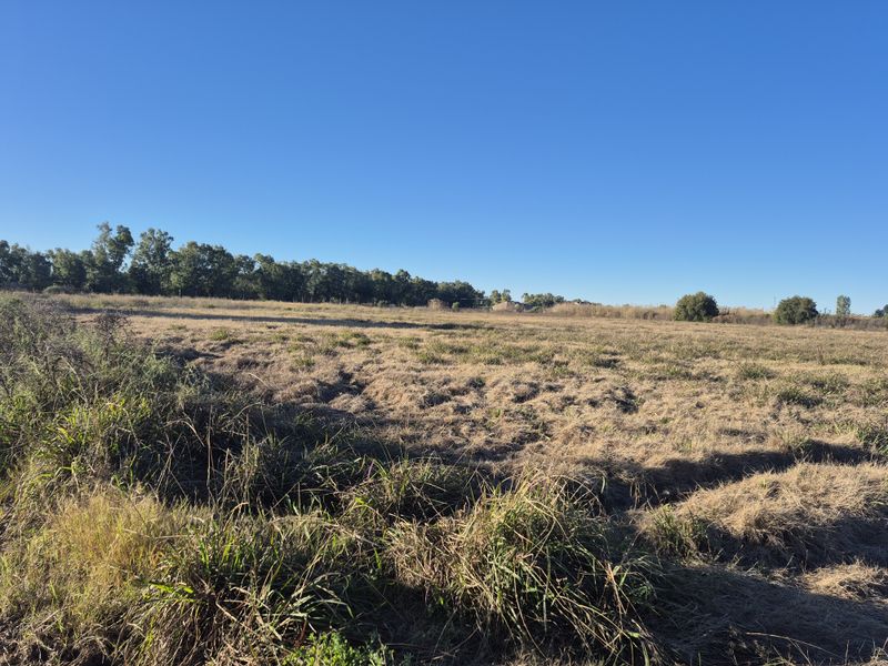 A wide-angle view of an expansive, open field on the small holding, featuring natural grass cover and a line of mature trees in the distance.