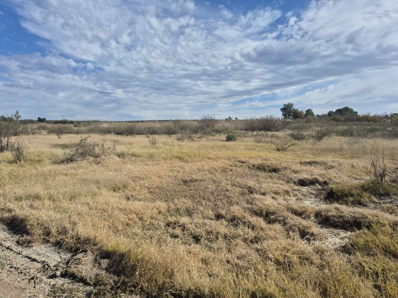 An expansive view of the open landscape and natural vegetation on the small holding property.