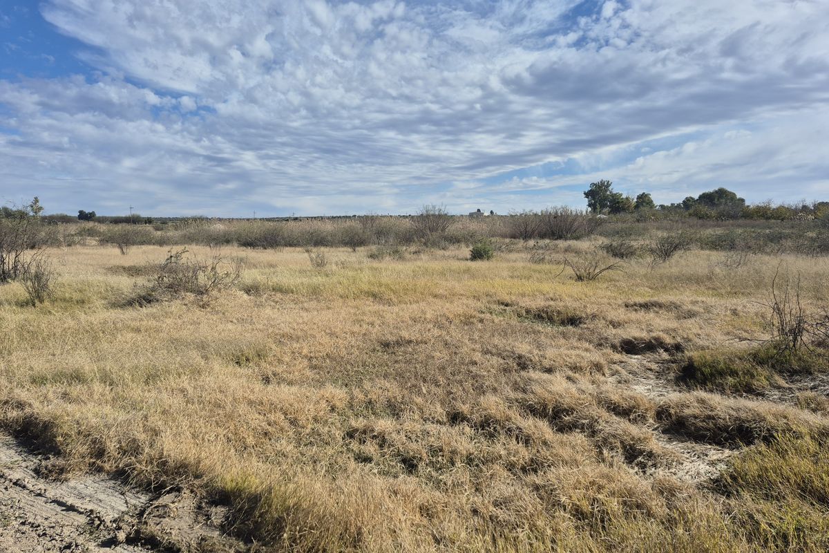 An expansive view of the open landscape and natural vegetation on the small holding property.