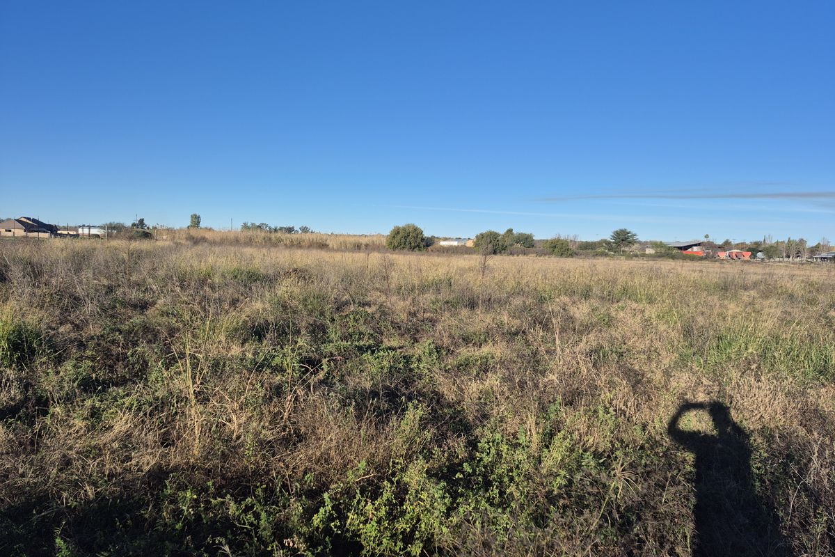 A wide-angle view of an undeveloped, open plot of land featuring natural vegetation and dry grass under a clear blue sky.