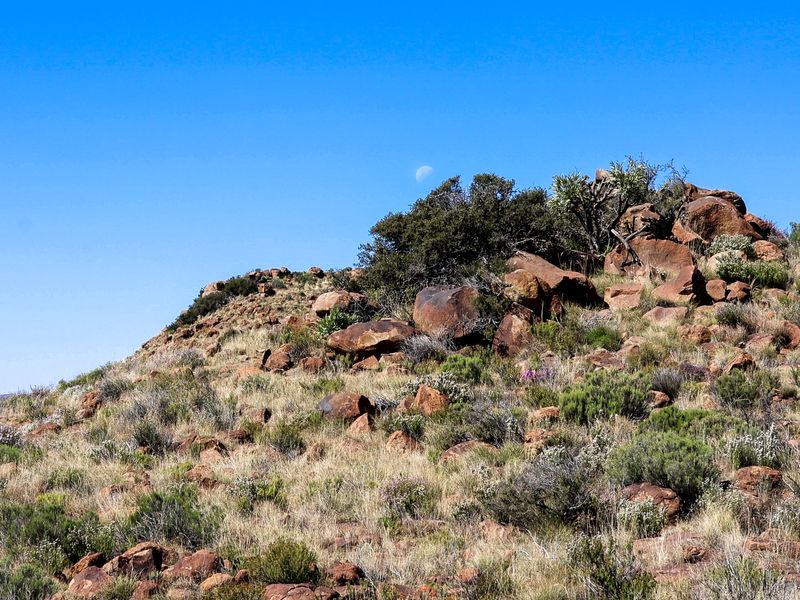 A scenic view of a rocky hillside landscape featuring natural vegetation and boulders under a clear blue sky.