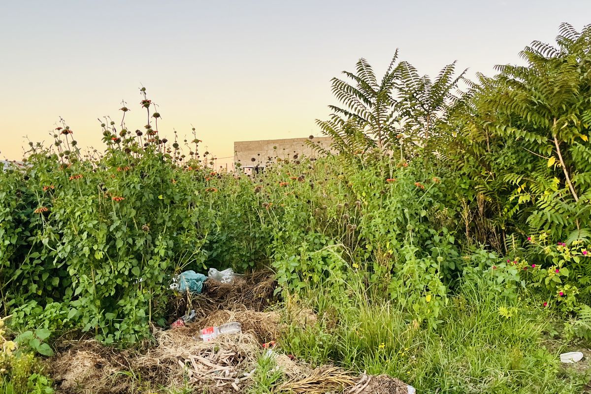 House for sale - Photo 2