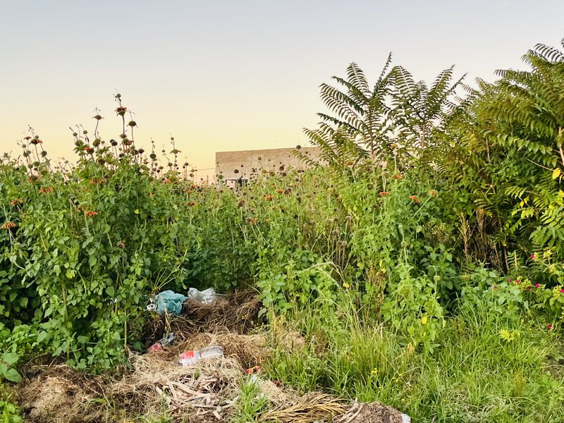 House for sale - Photo 2