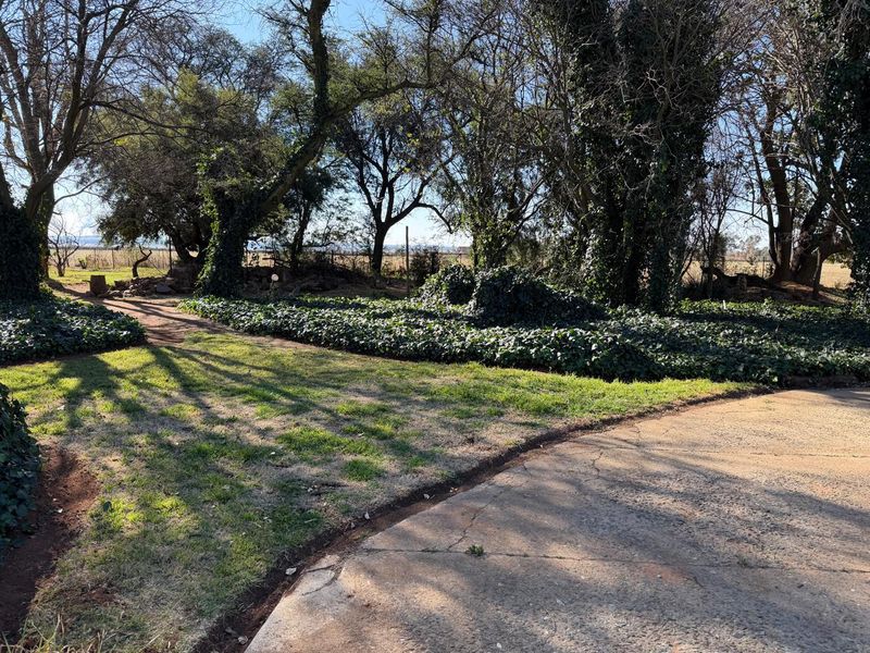 Versatile 9.5ha Smallholding with Exceptional Potential Near Delmas - Photo 2