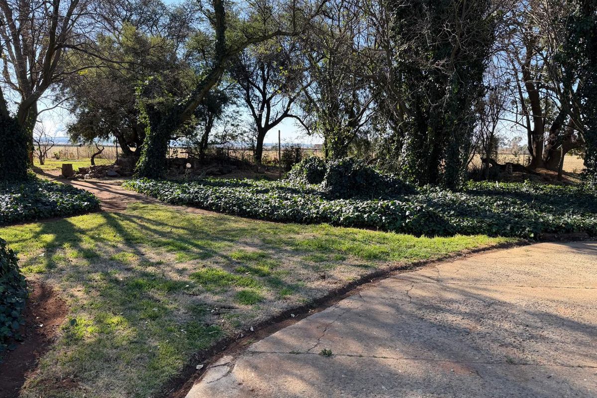 A spacious garden area featuring mature trees, established ground cover, and a concrete driveway with visible surface cracking.