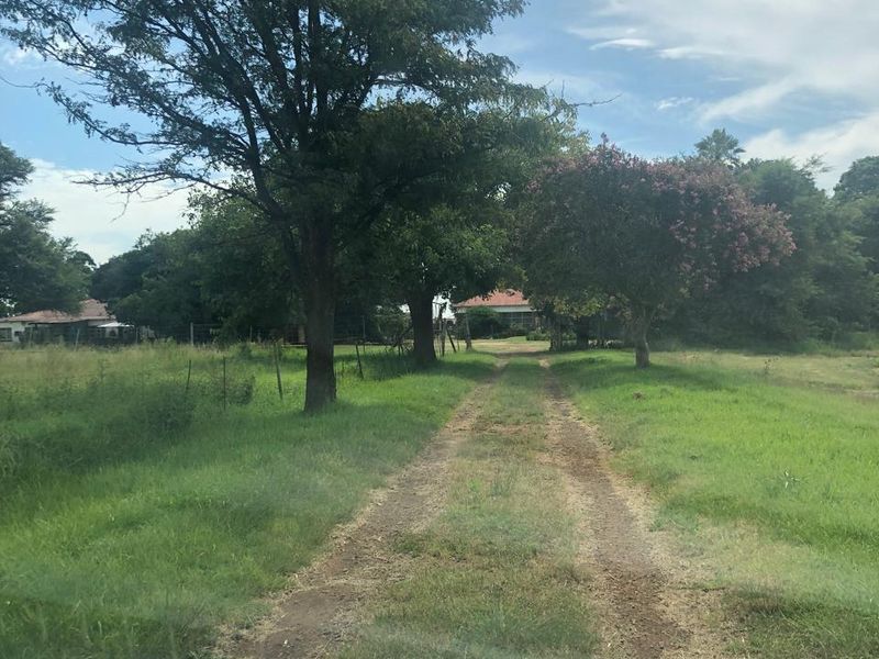 Versatile 9.5ha Smallholding with Exceptional Potential Near Delmas - Photo 5