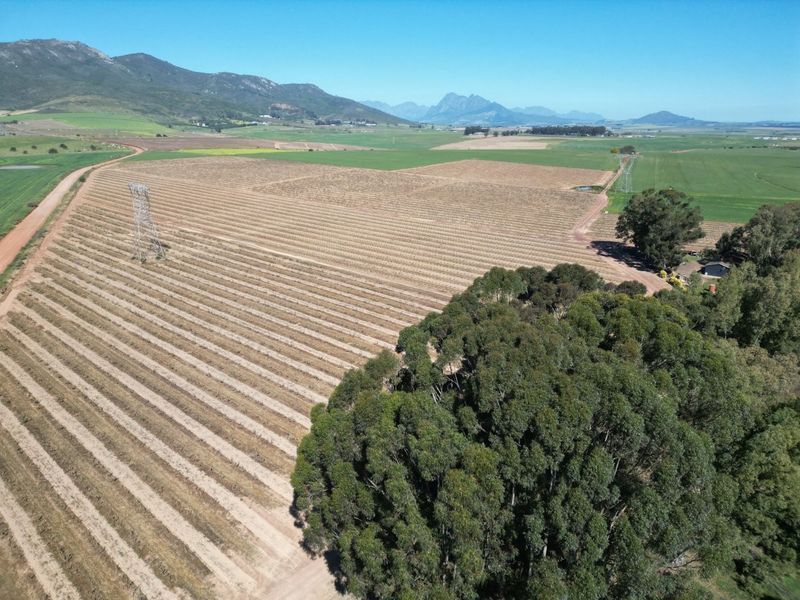 Aerial view of expansive farm land featuring cultivated fields, mature tree clusters, a dirt access road, and distant mountain vistas.