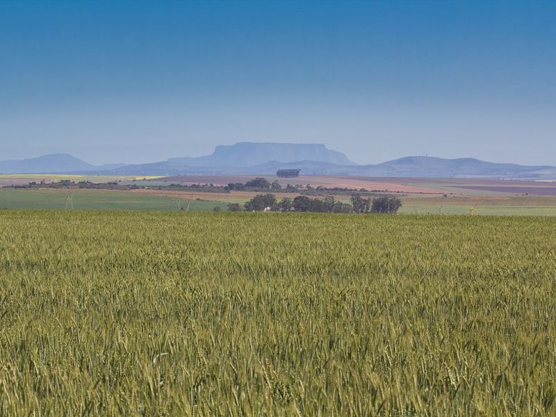 A scenic landscape view overlooking expansive agricultural fields with distant mountain ranges under a clear blue sky.