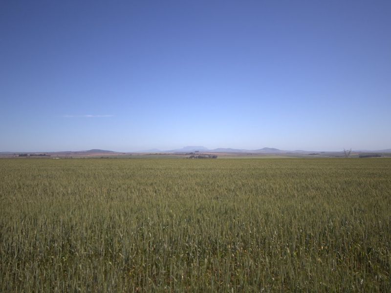 Expansive view of open farmland and rolling hills under a clear blue sky.