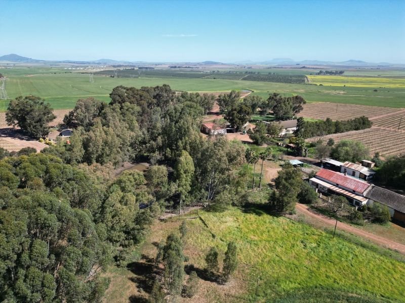 Aerial view of a rural farm property featuring multiple outbuildings, extensive mature trees, and surrounding agricultural fields under a clear sky.