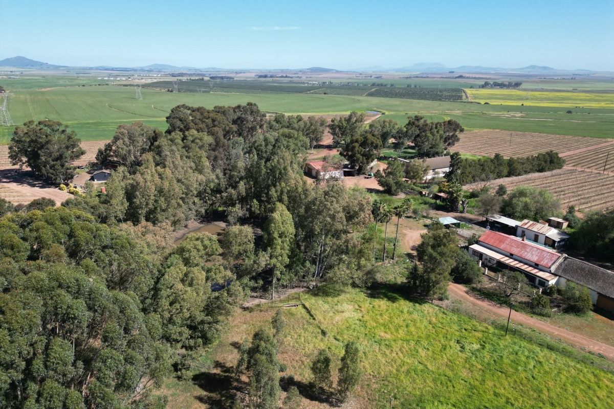 Aerial view of a rural farm property featuring multiple outbuildings, extensive mature trees, and surrounding agricultural fields under a clear sky.