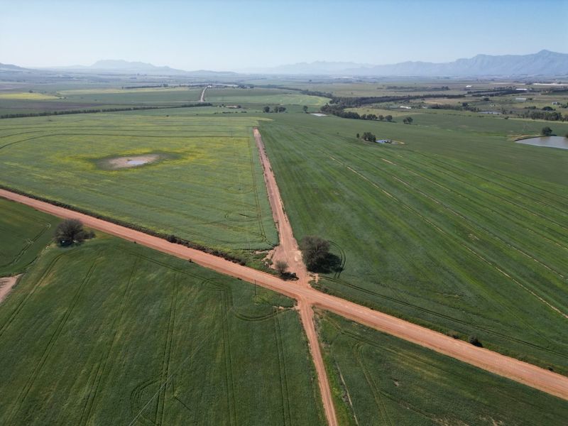 An aerial view of expansive green farmland featuring intersecting dirt roads and a small irrigation pond under a clear sky.