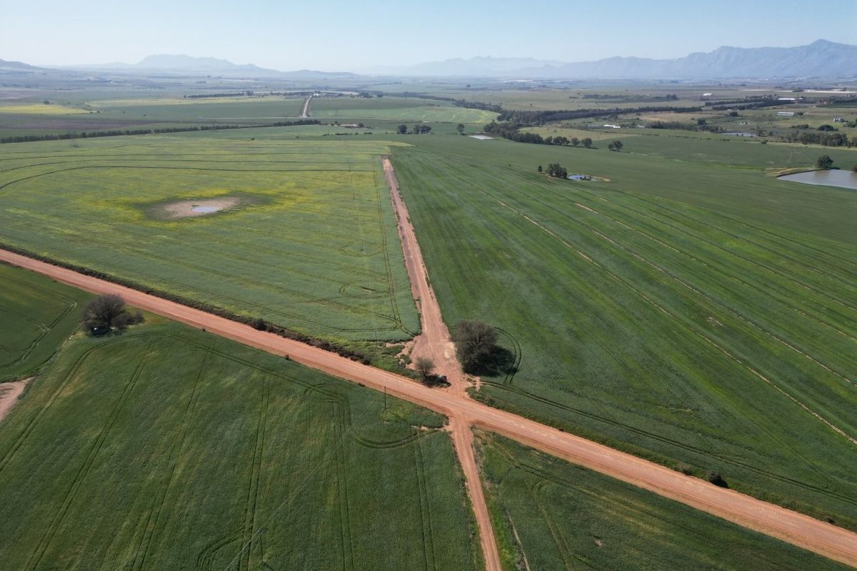 An aerial view of expansive green farmland featuring intersecting dirt roads and a small irrigation pond under a clear sky.