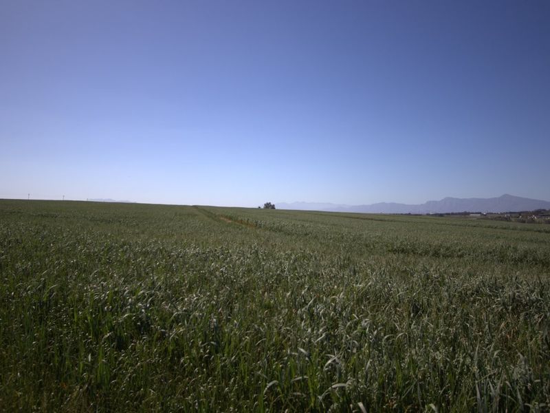 Expansive view of open farmland with a distant mountain range under a clear blue sky.