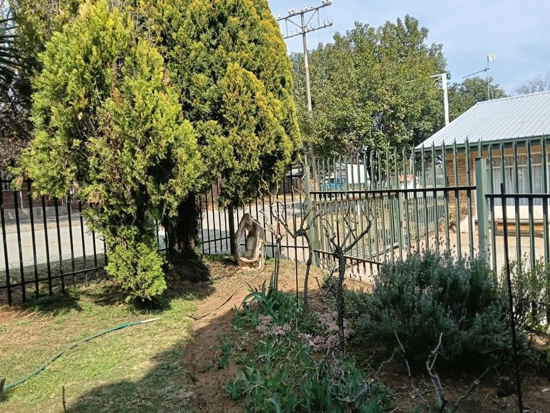 A view of the property's garden area featuring established trees, landscaped garden beds, and secure metal perimeter fencing.