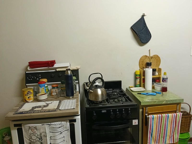A compact kitchen area featuring a freestanding stove, oven, and laminate countertop workspace.