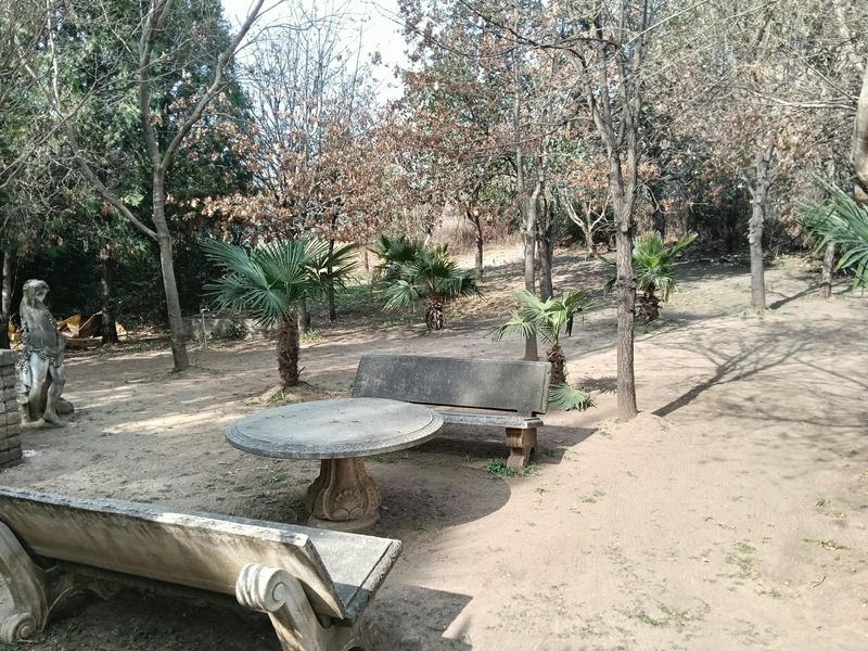 A spacious garden area featuring mature trees, palm plants, and fixed stone seating arrangements, offering a natural outdoor space for relaxation.